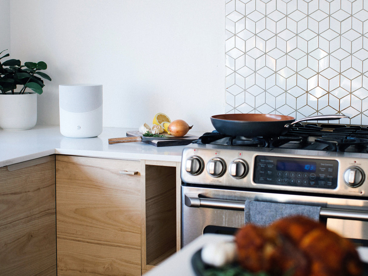 Bluesound Pulse M Black Wireless Streaming Speaker (Opened box)