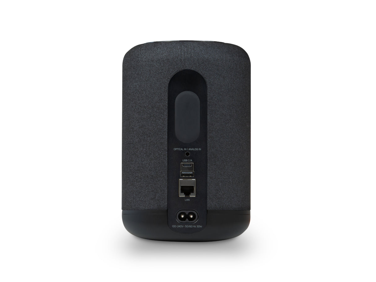 Bluesound Pulse Flex P130 Wireless Speaker (2025 Model)