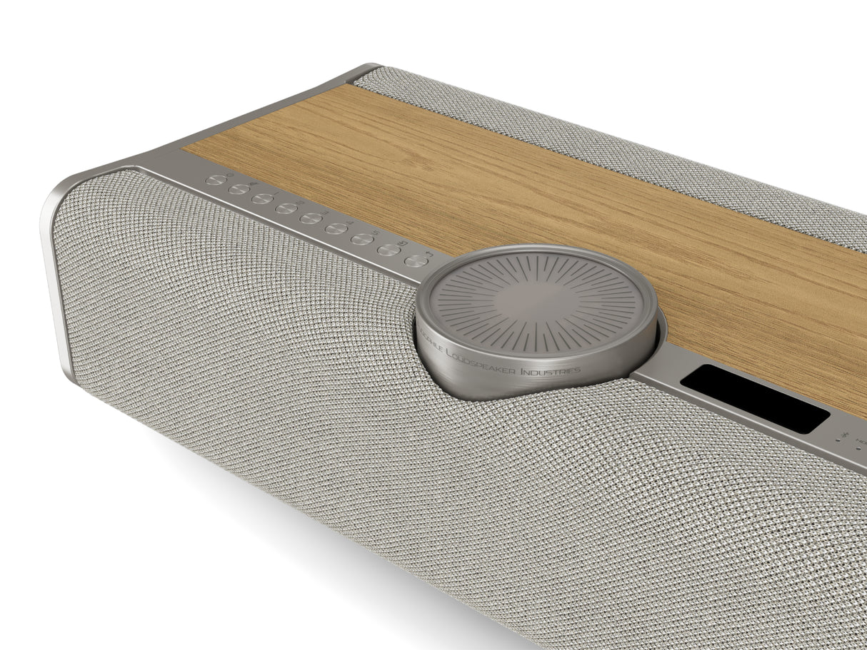 DALI VEGA Wireless Sound System