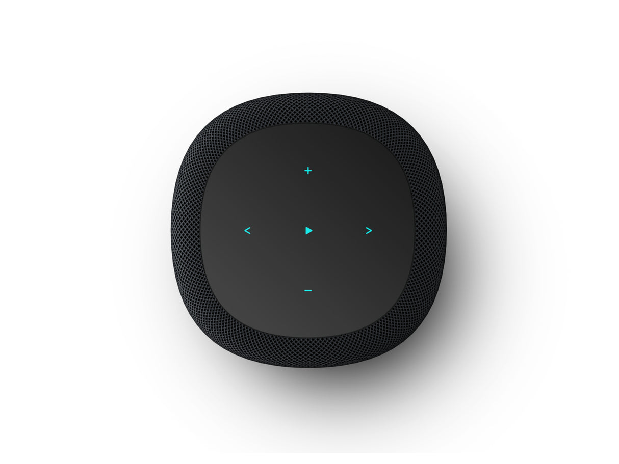 WiiM Sound Wireless Smart Speaker