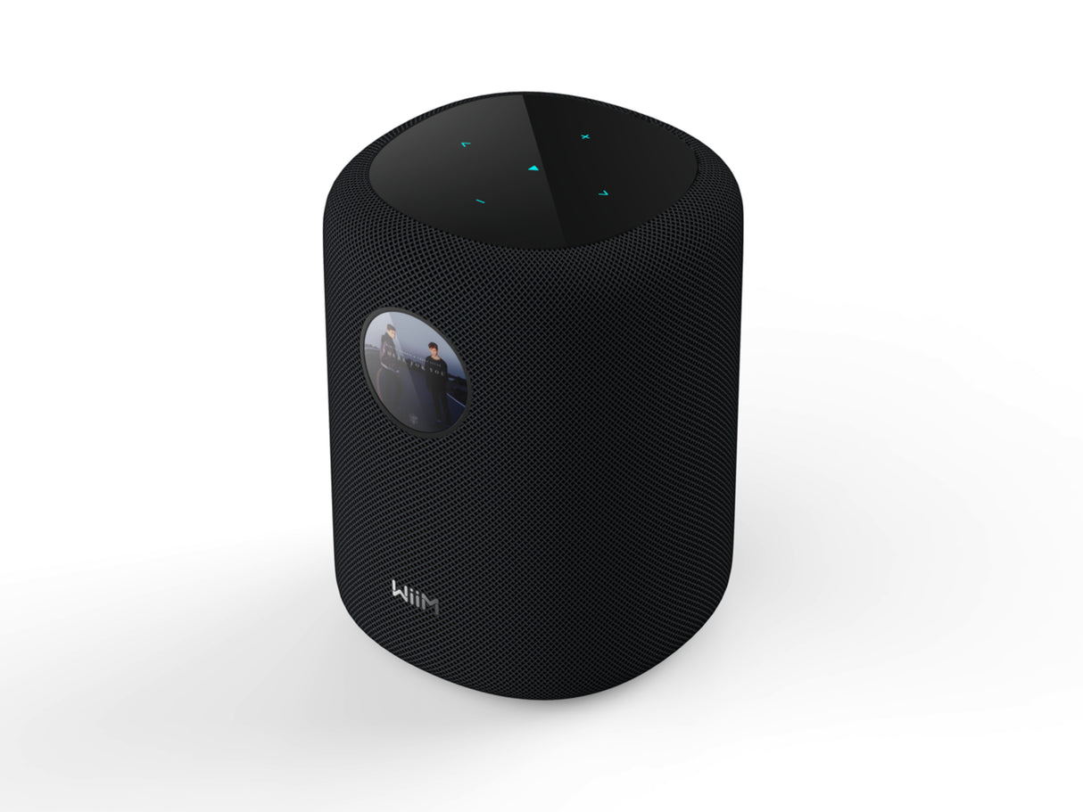 WiiM Sound Wireless Smart Speaker