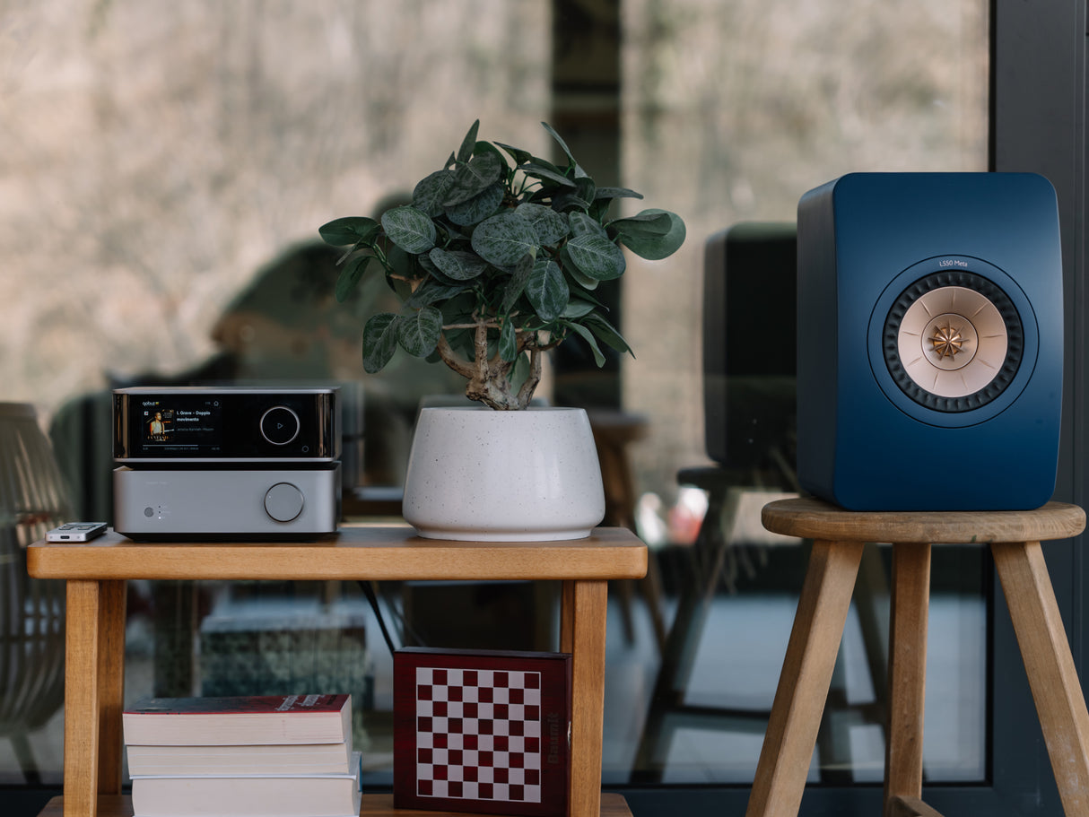 WiiM Vibelink + DALI KUPID Bookshelf Speakers