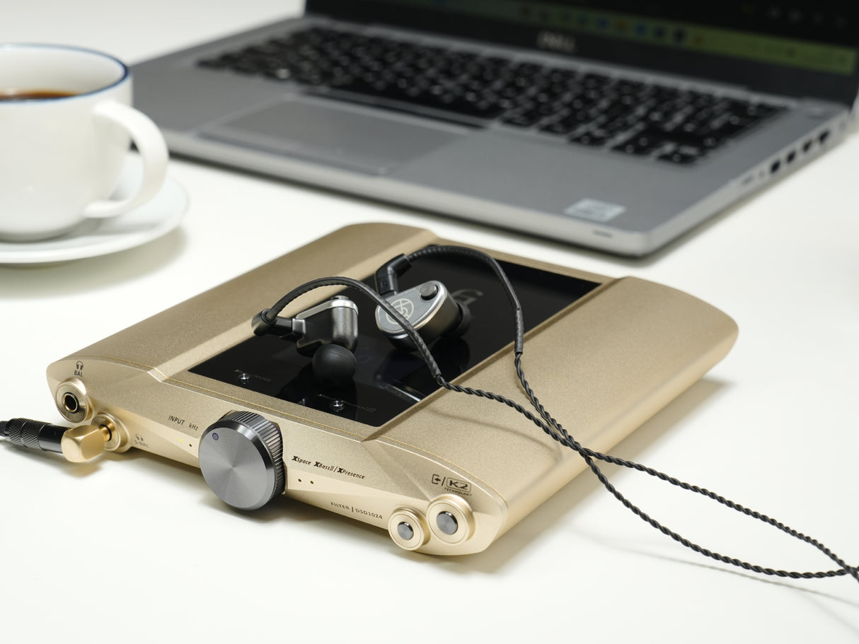 iFi iDSD Valkyrie Portable Headphone DAC Amplifier