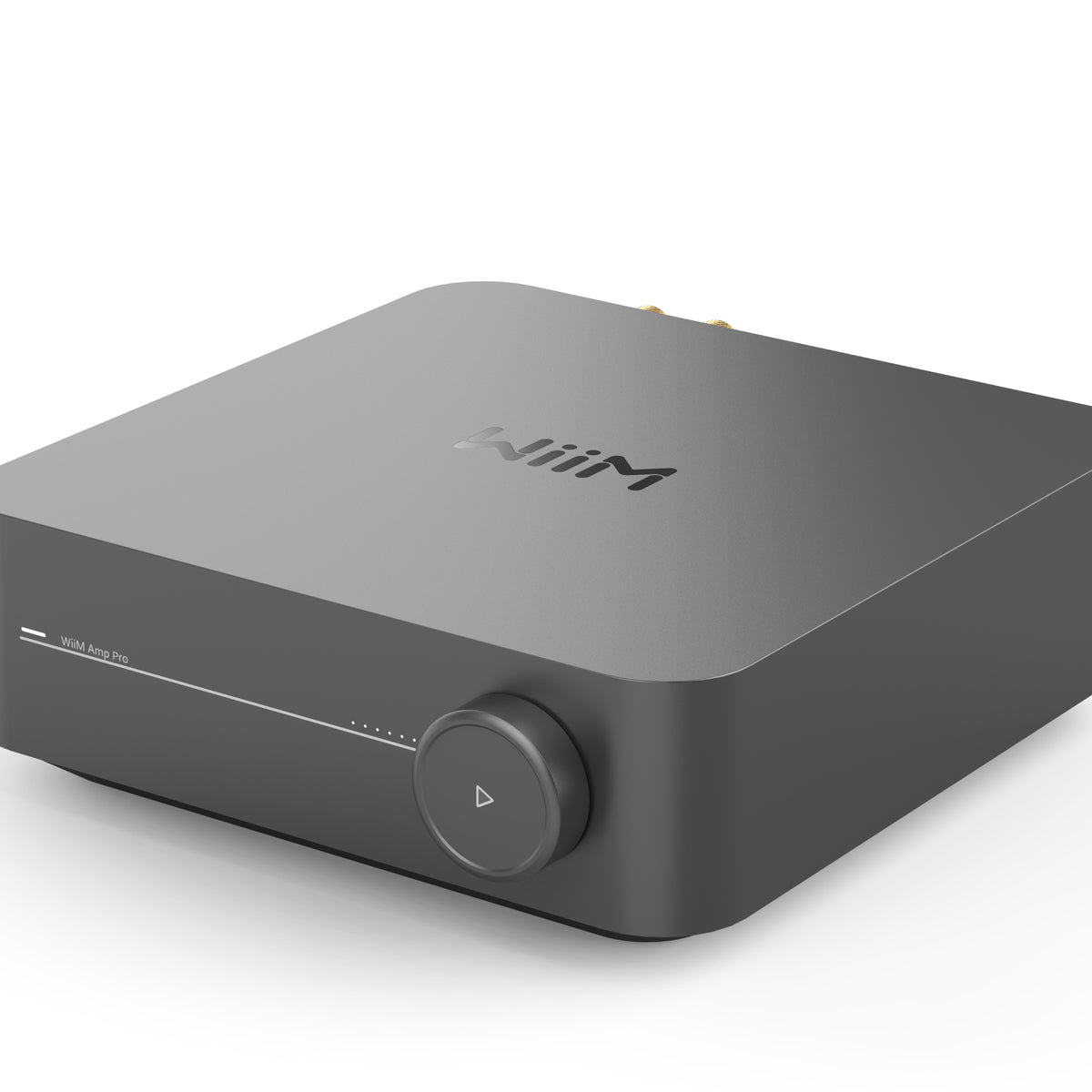 Wiim Amp Pro