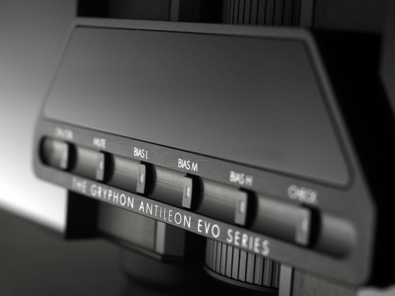 Gryphon Audio Antileon EVO Mono Power Amplifier