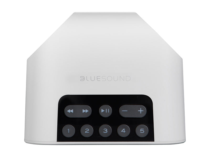 Bluesound Pulse Flex 2i Wireless Speaker