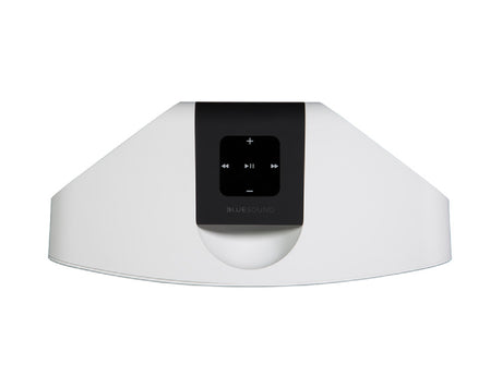 Bluesound Pulse Mini 2i Wireless Speaker