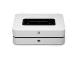 Bluesound Powernode (N331) with DALI Kupid Bookshelf Speaker (2025 Model)