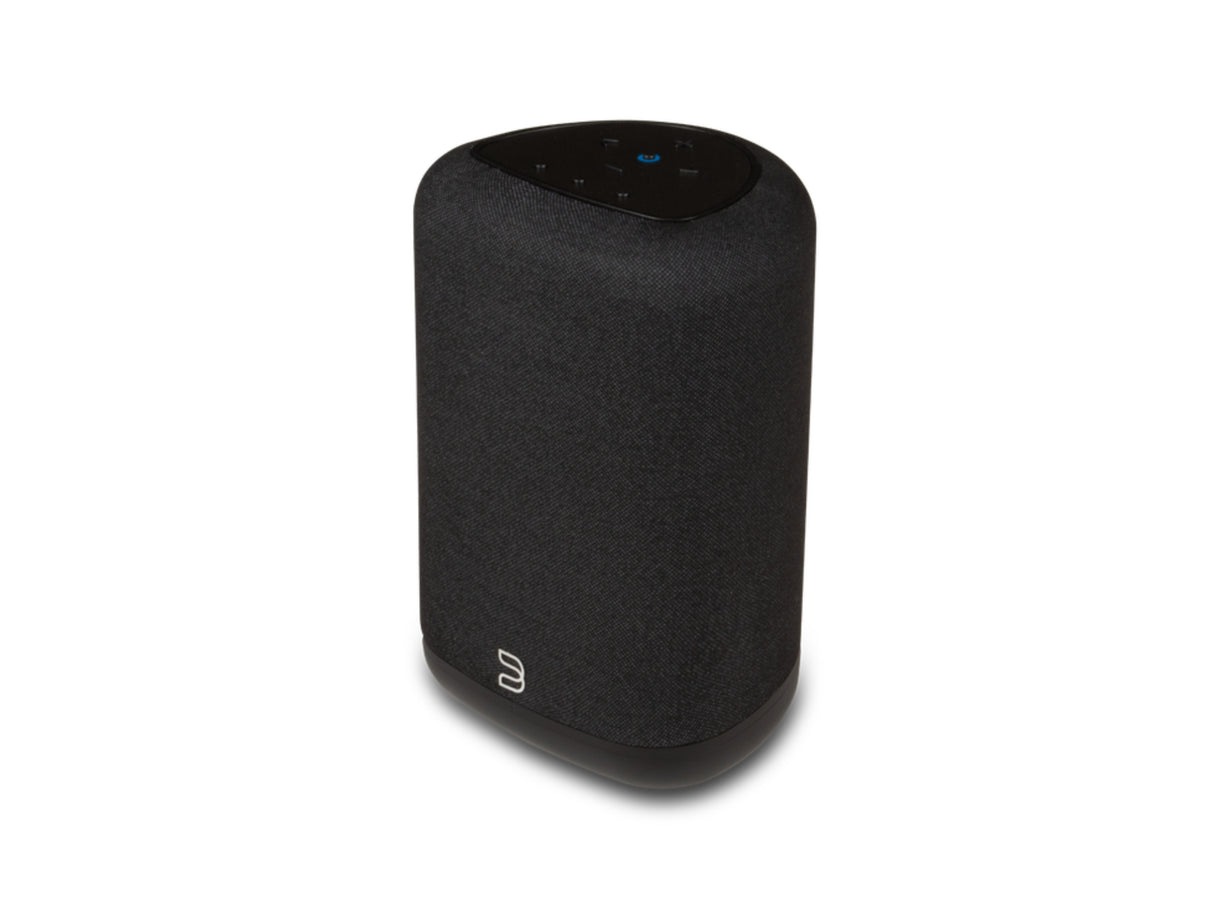 Bluesound Pulse Flex P130 Wireless Speaker (2025 Model)