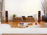 MOON 371 Network Amplifier