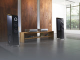 TAD D1000TX SACD CD Player
