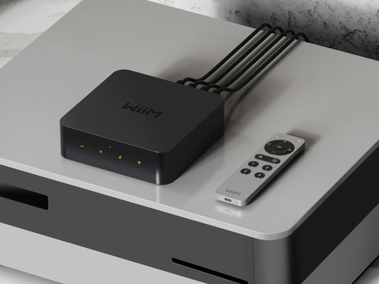 Wiim Voice Remote 2 Control
