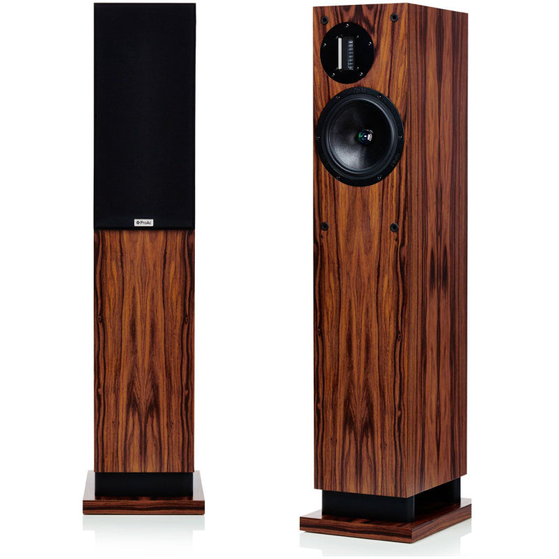 ProAc D20R Speakers