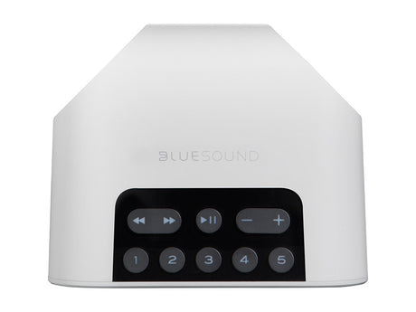 Bluesound Pulse Flex 2i Wireless Speaker