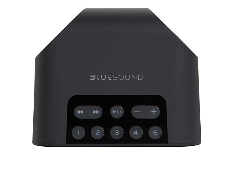 Bluesound Pulse Flex 2i Wireless Speaker