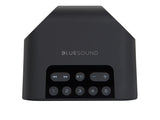 Bluesound Pulse Flex 2i Wireless Speaker