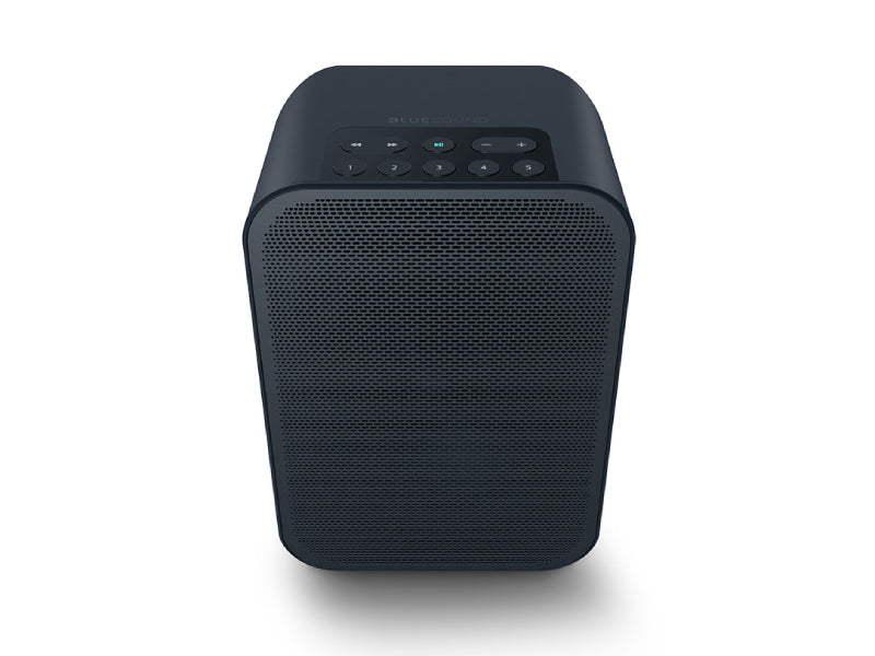 Bluesound Pulse Flex 2i Wireless Speaker