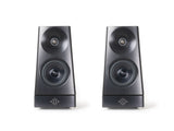 YG Acoustics CAIRN Speakers